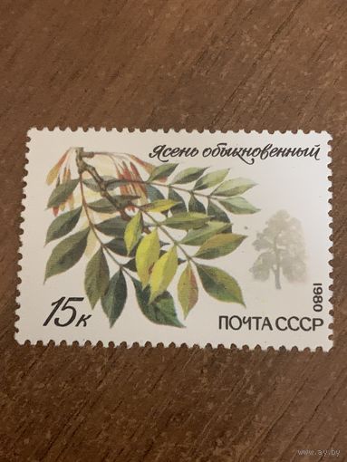 СССР 1980. Ясень обыкновенный. Марка из серии