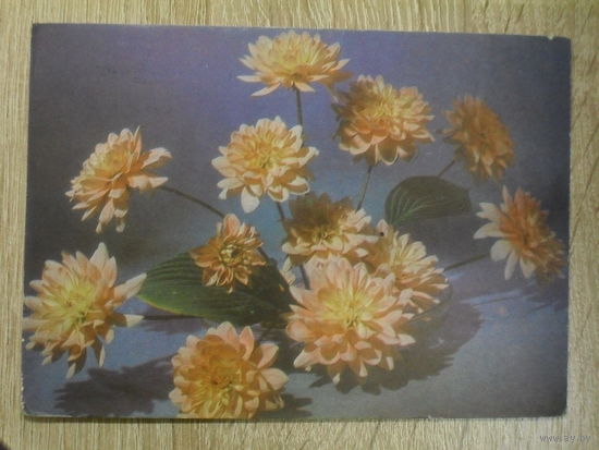 ПОДПИСАННАЯ ОТКРЫТКА СССР. "БУКЕТ ГЕОРГИН". ФОТО. Ю. ЛЕВЯНТА 1970 ГОД.