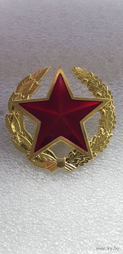 Вооруженные силы Беларусь*