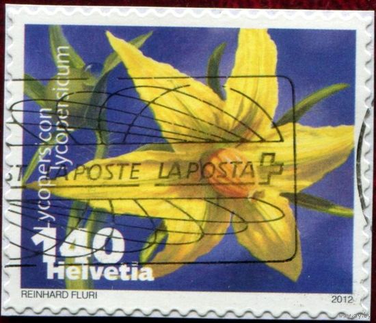 Швейцария 2012. Помидор (Lycopersicum)