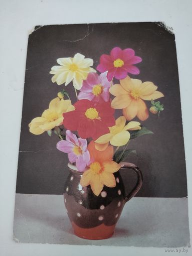 Чистая открытка "Осенний букет" 1988г, фото Д.Киндровой
