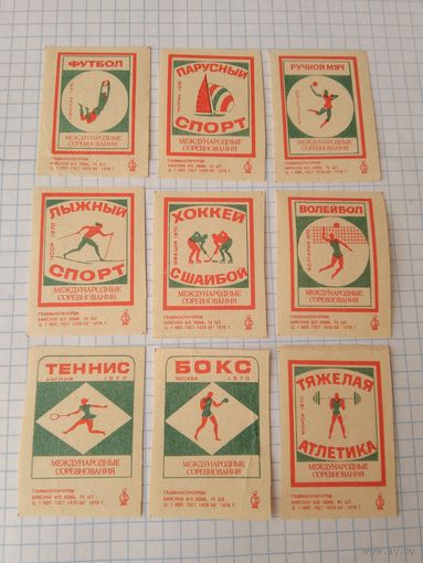 Спичечные этикетки ф.Бийск. Спорт. 1970 год
