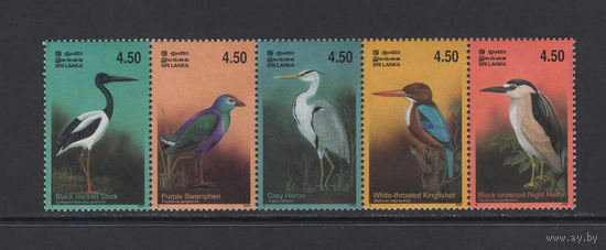 Фауна Птицы Шри-Ланка 2003 Тропические птицы острова Шри-Ланка