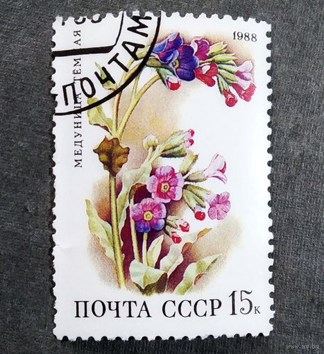 Марка СССР 1988 год Лесные цветы