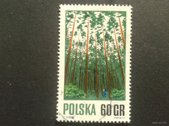 Польша 1971 лес