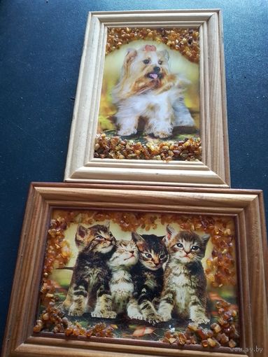 Картины Кошки и собачка в янтаре.