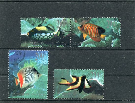 Китай. Морская фауна. Рыбы