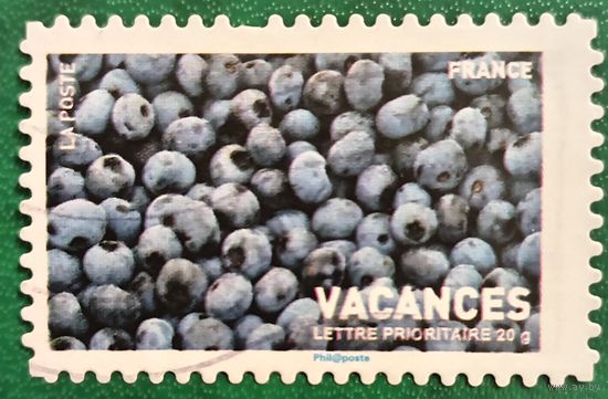 Франция. Ягоды. Голубика