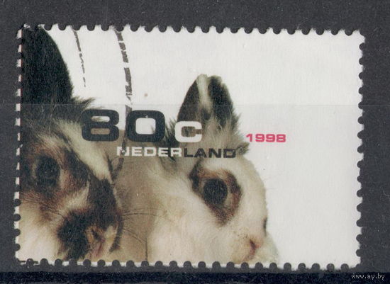 Нидерланды /1998/ Кролики