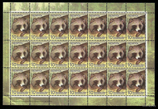 Беларусь. 2008. Стандарт. Енотовидная собака (10р) (з.22-2010) Лист