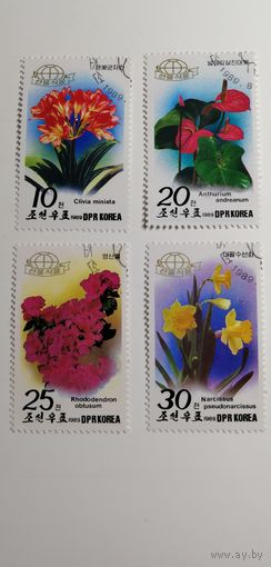 Корея 1989. Цветы