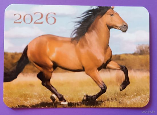 Лошадь. Календарик, глянец, 2026. Траско