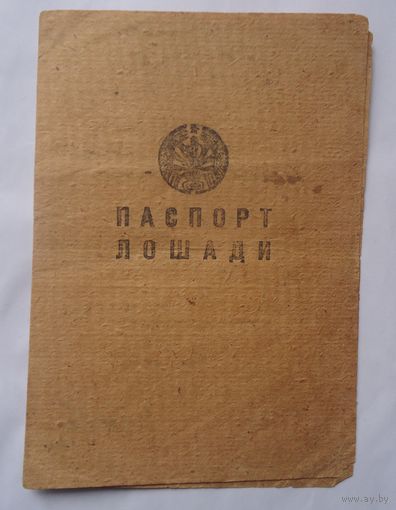 Паспорт лошади. Пинская область