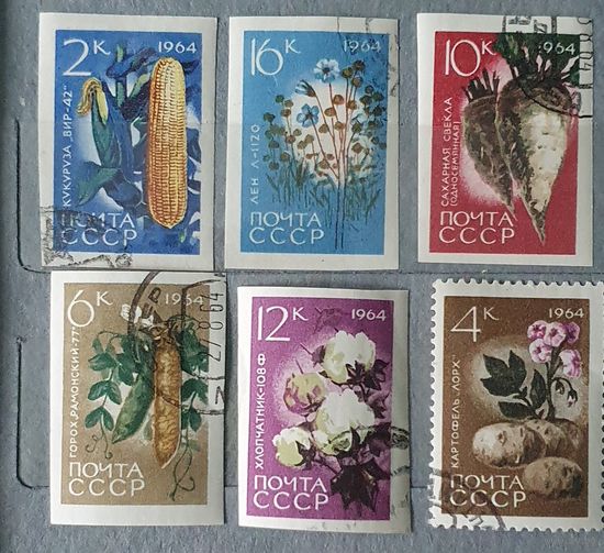 СССР овощи 6шт 1964г