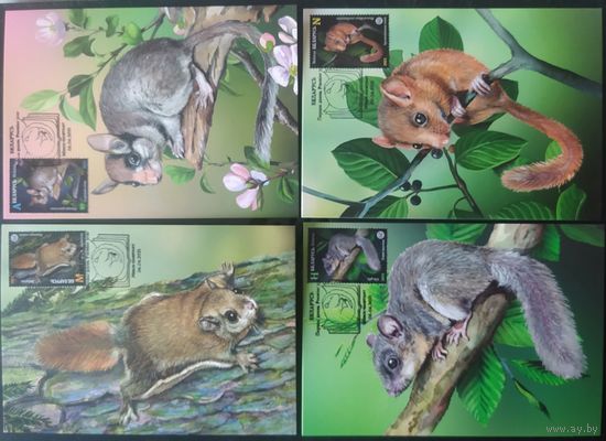 Беларусь 2021 КМ грызуны .