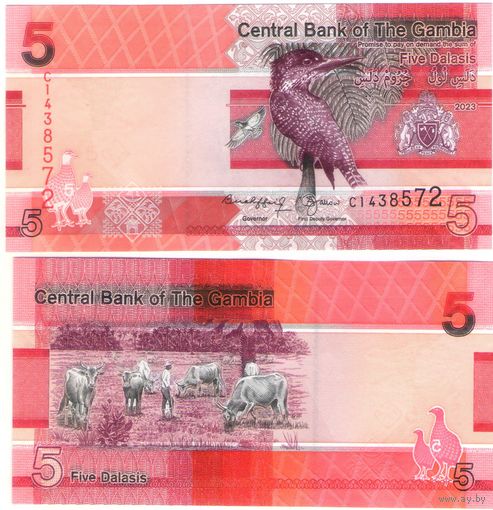 Гамбия 5 даласи 2023 год UNC (Пегий зимородок)