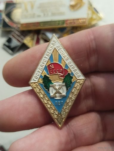 Государственная лесная охрана