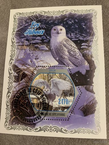 Кот Ди Вуар 2018. Совы. Блок
