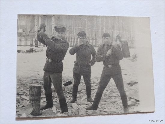 Фото в коллекцию