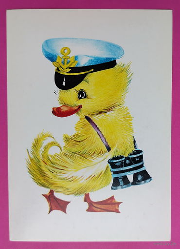 Утёнок. Чистая. 1984 года. Манилова. 2239.