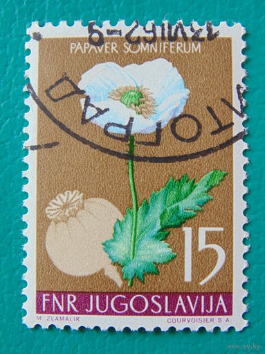 Югославия. Флора.