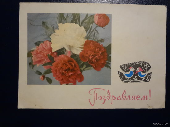 Поздравляем!  Пионы.  1967 г.  подписанная.