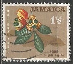 Ямайка. Плодовое дерево Аки. 1964г. Mi#220.