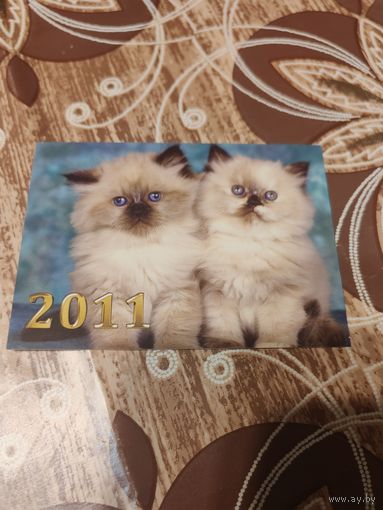 Календарик,коты,2011
