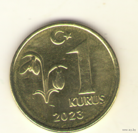 1 куруш 2023