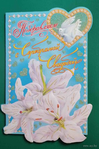Поздравляем с серебряной свадьбой