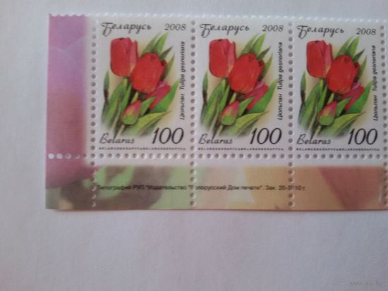 Двенадцатый стандарт. 100 р. Зак. 20-2010. Нижняя сцепка (А033)