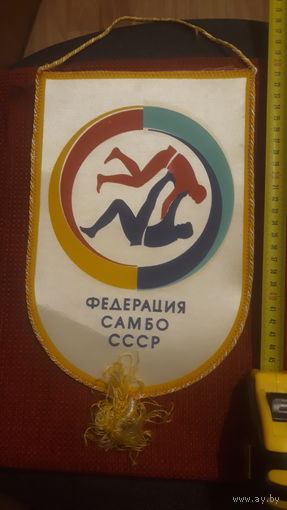 Вымпел спорт
