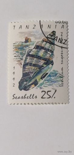 Танзания 1992. Ракушки