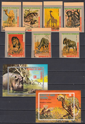 Фауна. Экваториальная Гвинея. 1974. 7 марок и 2 блока. Michel N 475-481, бл145-146 (18,5 е)