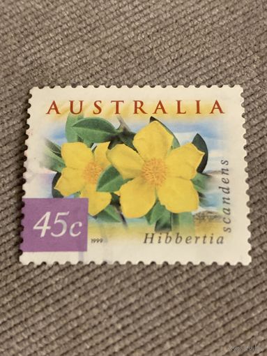 Австралия 1999. Флора. Цветы. Hibbertia scandens