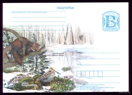 2010 год Куница и слонка