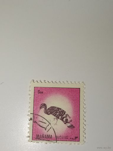 Манама. Фауна. 1972г.