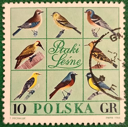 Польша 1966. Лесные птицы Польши