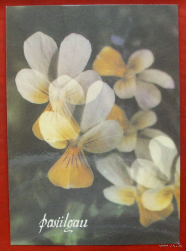 Цветы. Литва. Чистая. 1991 года. 808.