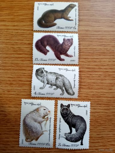 Марки СССР. 1980 год. Фауна. Пушные звери. (серия из 5 марок). Чистые.