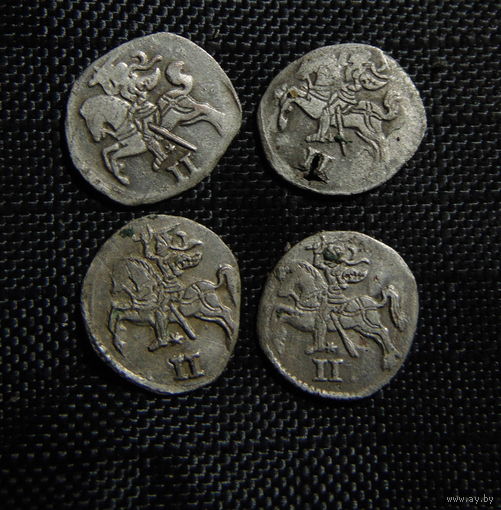 Погодовка двуденариев. 1566-70