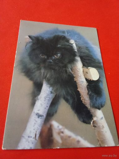Календарик 1993,г.