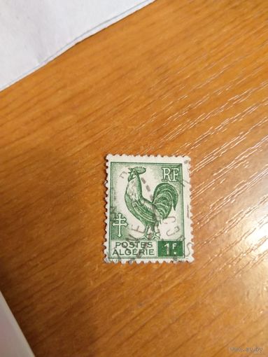1944 Французская колония Алжир фауна птицы (3-10)