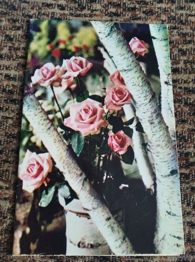 Открытка Поздравляем Артамонова 71г двойная чистая