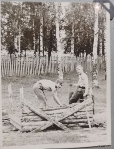 Фото в коллекцию