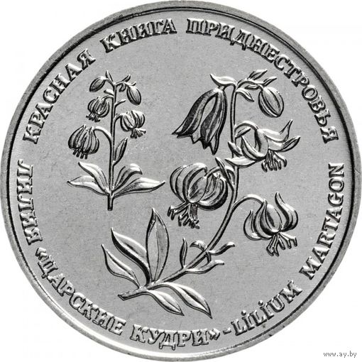 Приднестровье 1 рубль, 2019 Лилия Царские кудри UNC