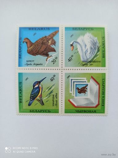 РБ. 1994. Птицы, занесенные в Красную книгу Беларуси. 58.