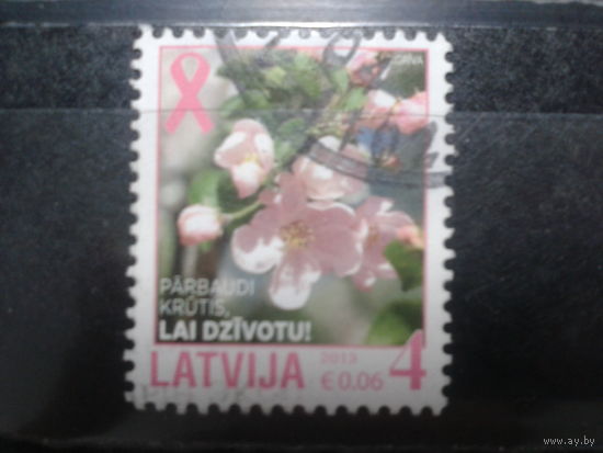 Латвия, 2013. Яблоневый цвет