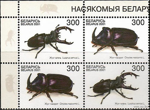 Квартблок "Жуки" ЛВ
