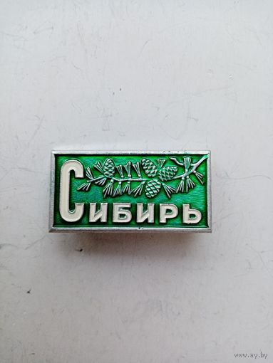 Значок Сибирь